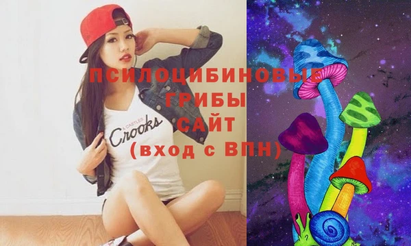 метадон Покачи